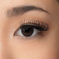 Venus Lash -  Magnetic Lashes - 