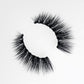 Hypnotize Kit -  Magnetic Lashes Kit - 