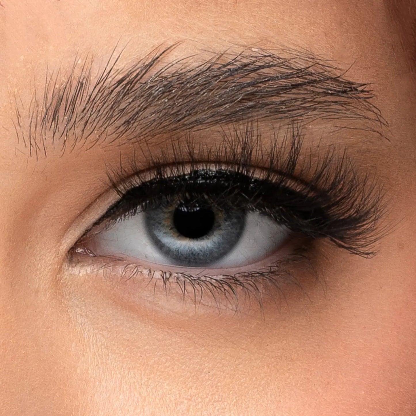 Vixen Lash -  Magnetic Lashes - 